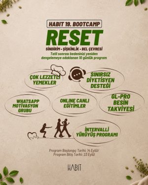 Alternative view of Habit 19. Bootcamp - Reset