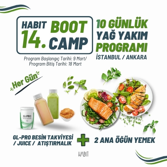Bootcamp-14 Habit 10 Günlük Yağ Yakım Programı - Görsel 3