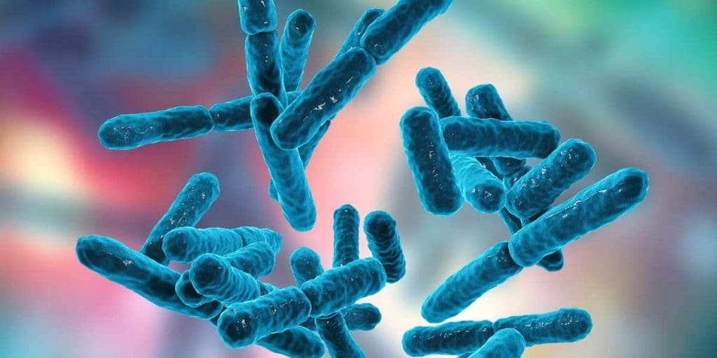 Bağırsak Bakterilerinin Kanser Tedavisindeki Etkisi