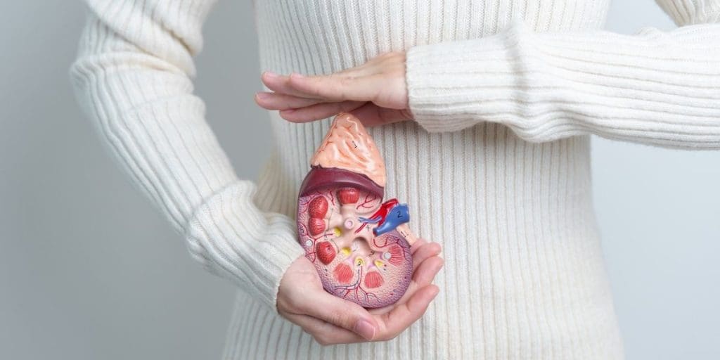 Böbrek Üstü Bezleri