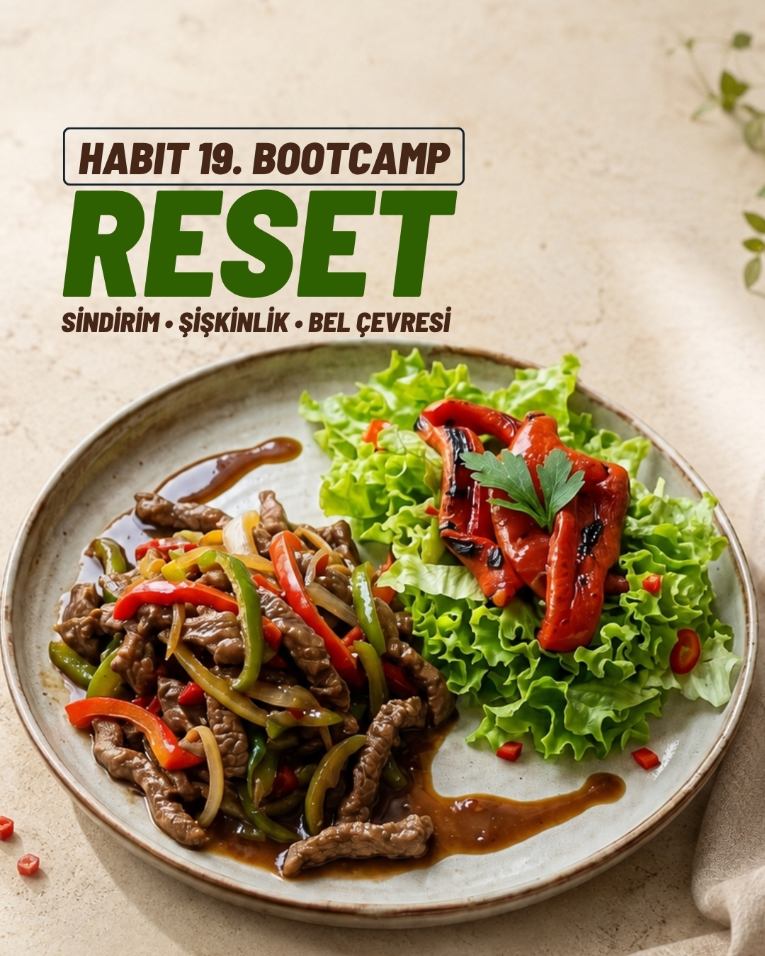Bootcamp 19 Reset